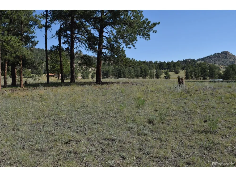 431 High Chateau Road Florissant, CO 80816