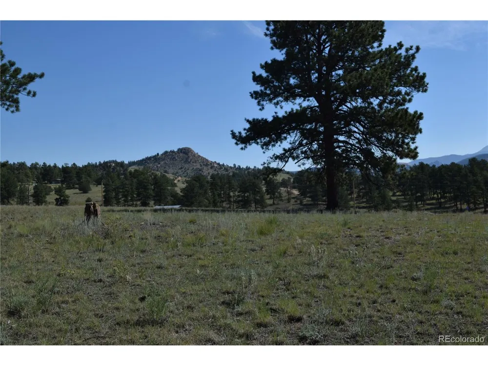 431 High Chateau Road Florissant, CO 80816