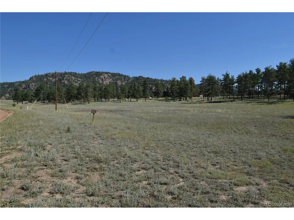 431 High Chateau Road Florissant, CO 80816