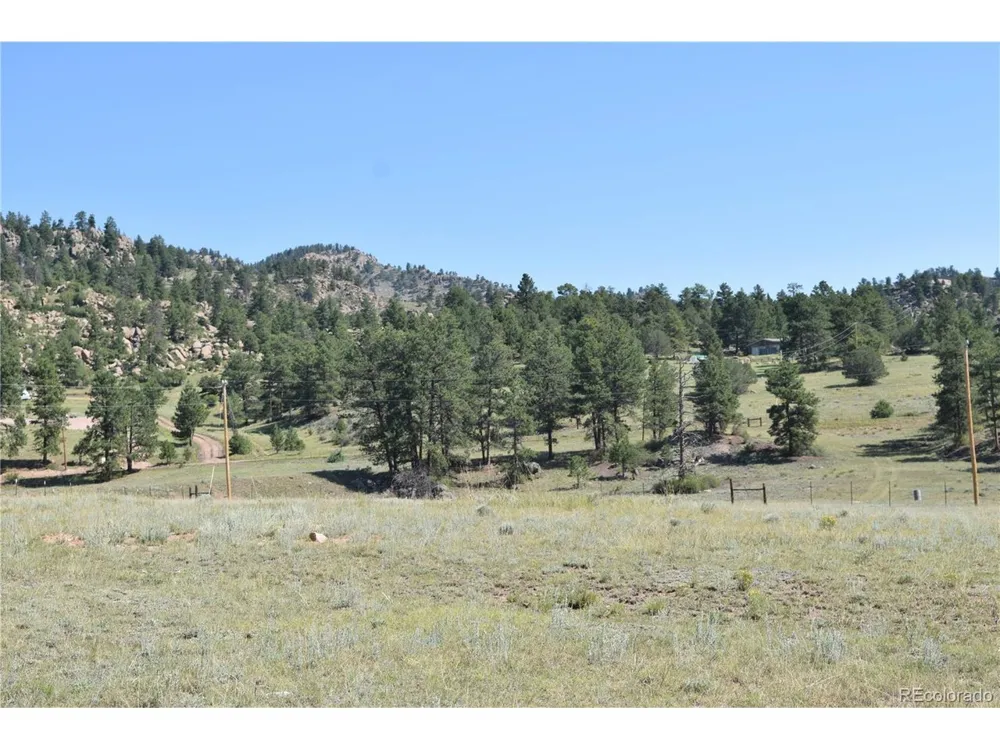 431 High Chateau Road Florissant, CO 80816
