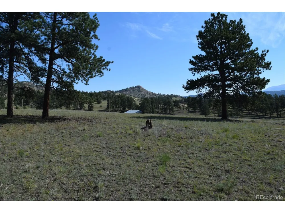 431 High Chateau Road Florissant, CO 80816