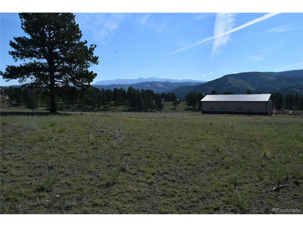 431 High Chateau Road Florissant, CO 80816