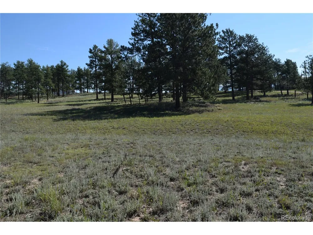 431 High Chateau Road Florissant, CO 80816