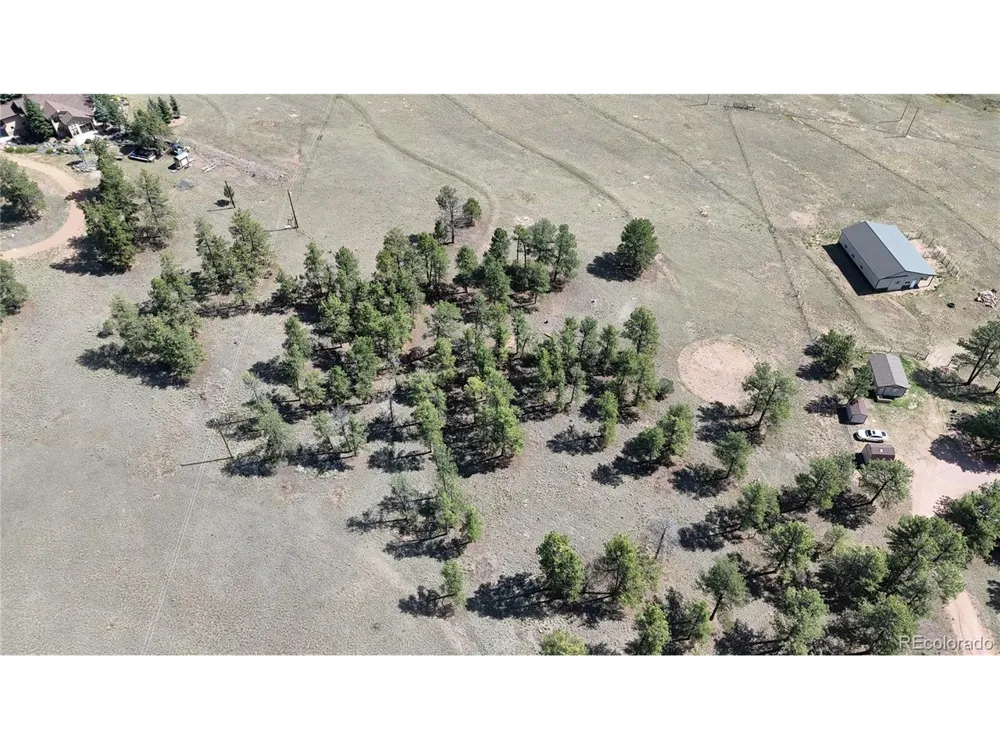 431 High Chateau Road Florissant, CO 80816