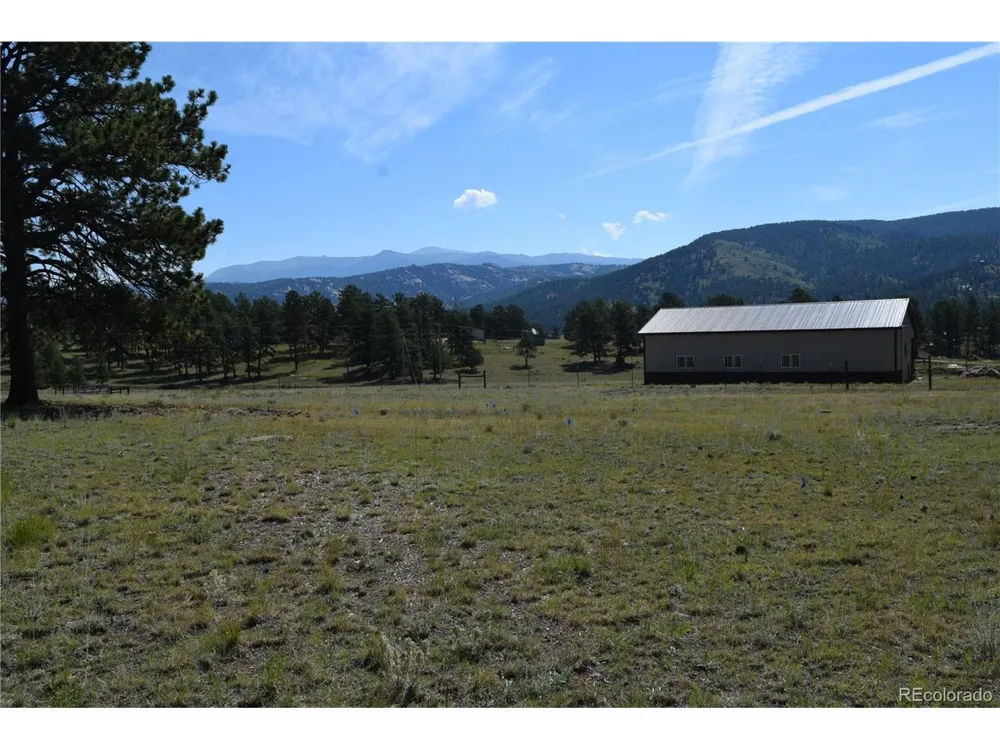 431 High Chateau Road Florissant, CO 80816