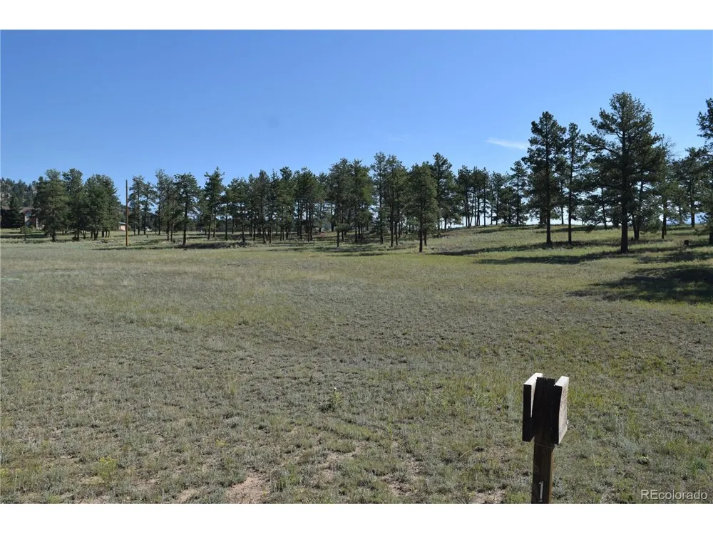431 High Chateau Road Florissant, CO 80816