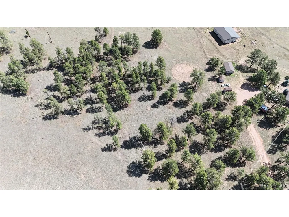 431 High Chateau Road Florissant, CO 80816