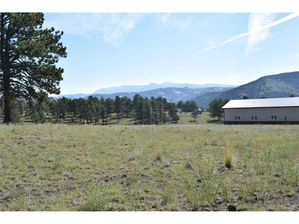 431 High Chateau Road Florissant, CO 80816