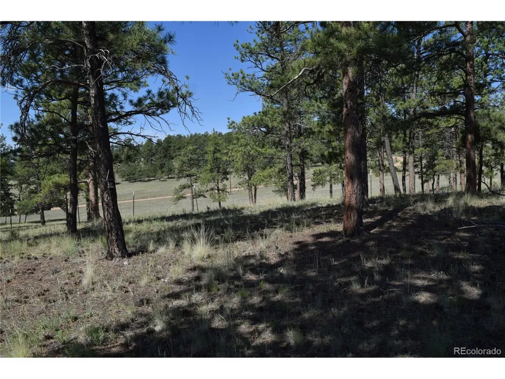 431 High Chateau Road Florissant, CO 80816