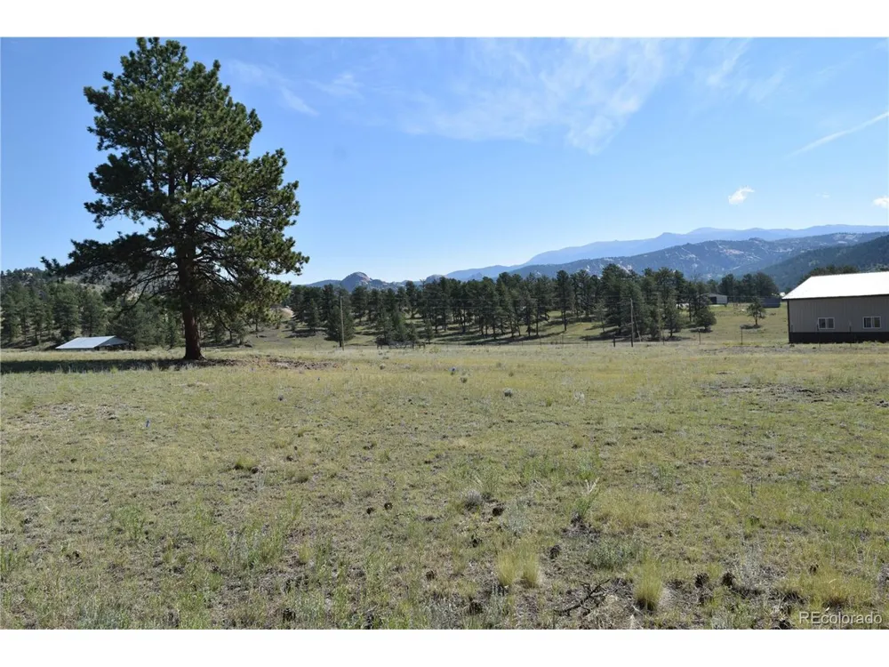 431 High Chateau Road Florissant, CO 80816