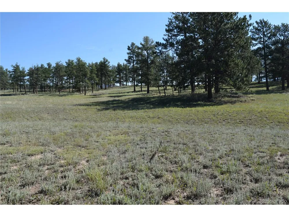 431 High Chateau Road Florissant, CO 80816