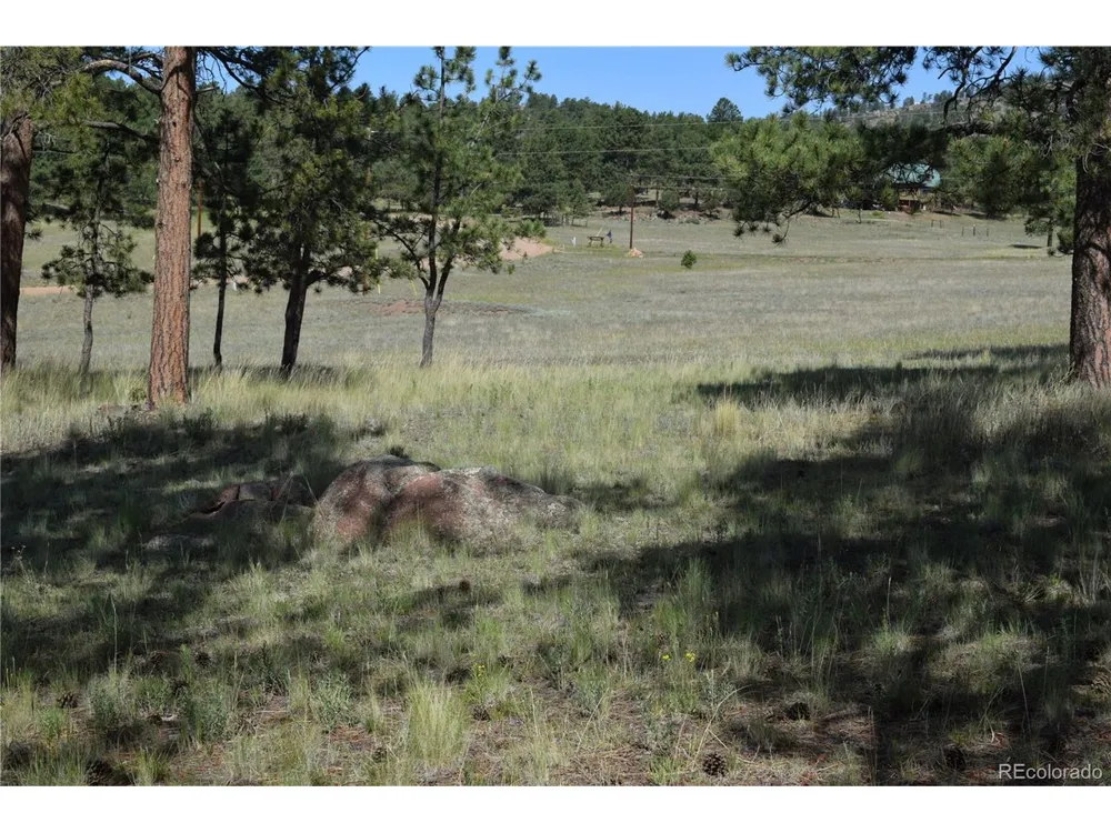431 High Chateau Road Florissant, CO 80816