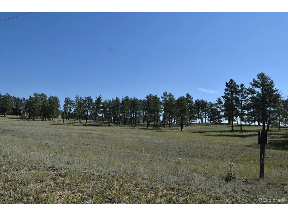431 High Chateau Road Florissant, CO 80816