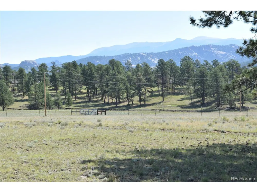431 High Chateau Road Florissant, CO 80816