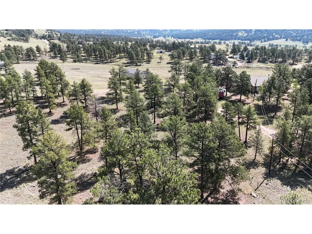 431 High Chateau Road Florissant, CO 80816