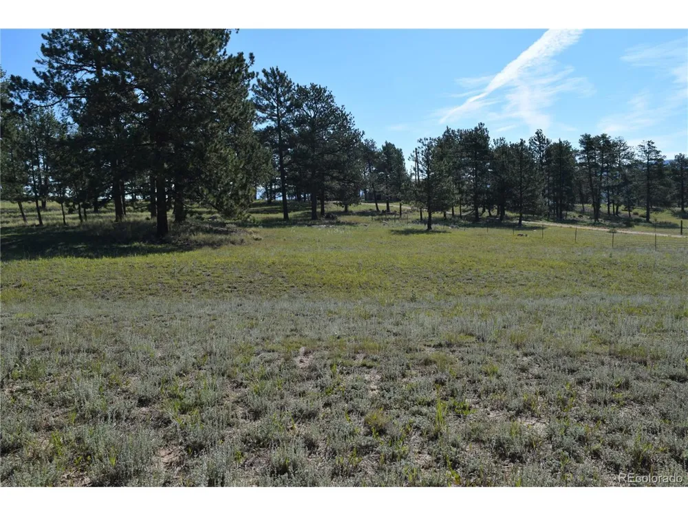 431 High Chateau Road Florissant, CO 80816