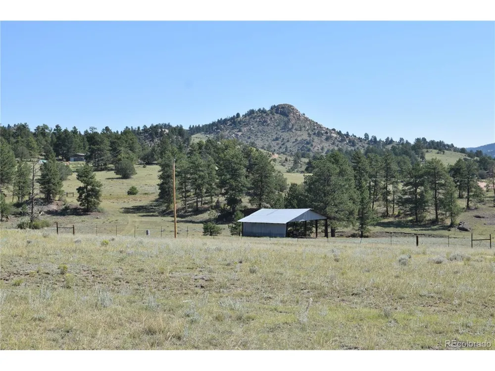 431 High Chateau Road Florissant, CO 80816