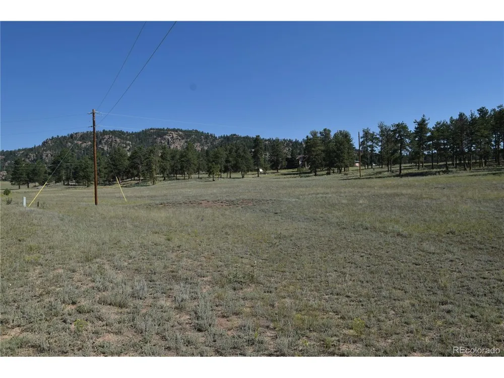 431 High Chateau Road Florissant, CO 80816