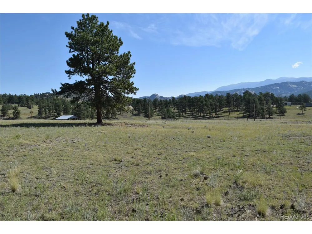 431 High Chateau Road Florissant, CO 80816