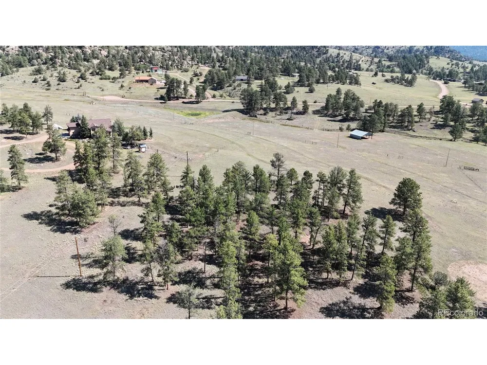 431 High Chateau Road Florissant, CO 80816