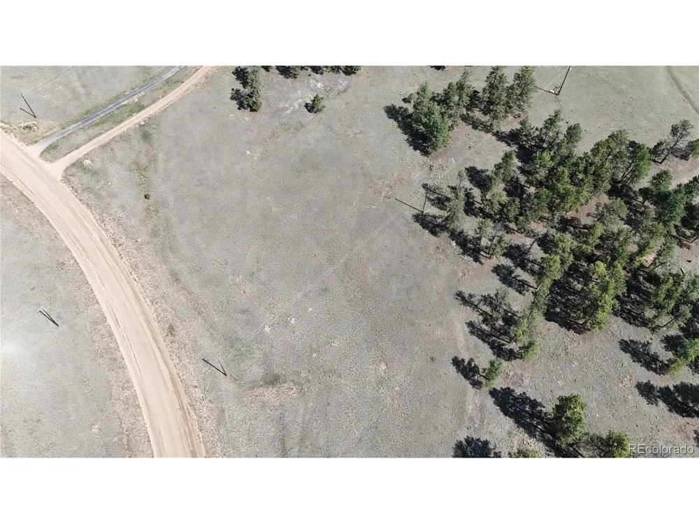 431 High Chateau Road Florissant, CO 80816