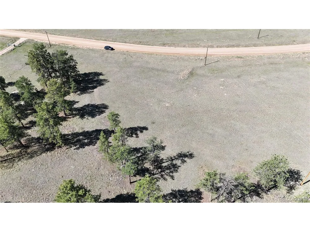 431 High Chateau Road Florissant, CO 80816