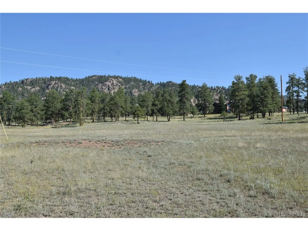 431 High Chateau Road Florissant, CO 80816