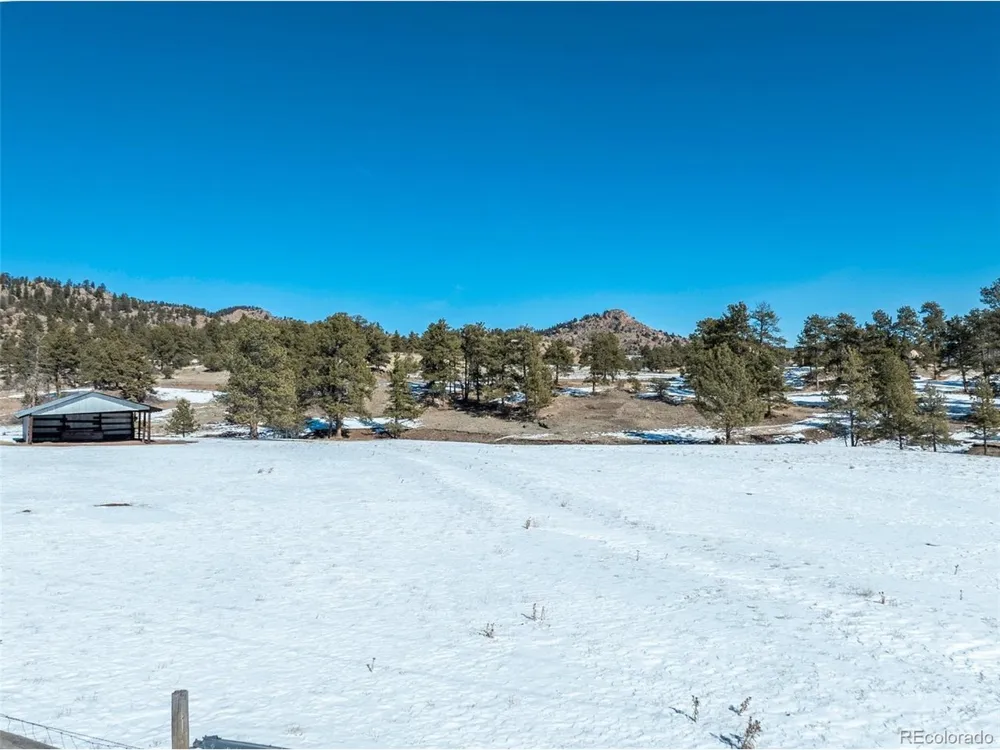 146 Pennsylvania Avenue Florissant, CO 80816