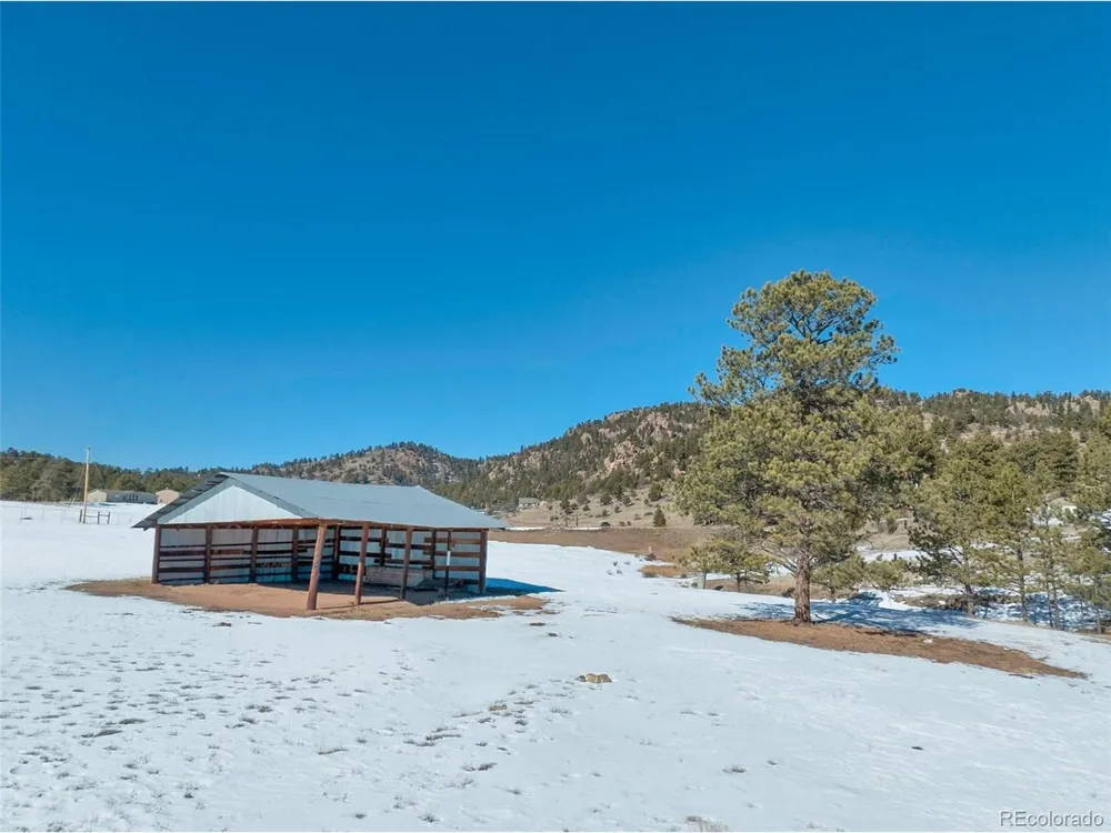 146 Pennsylvania Avenue Florissant, CO 80816