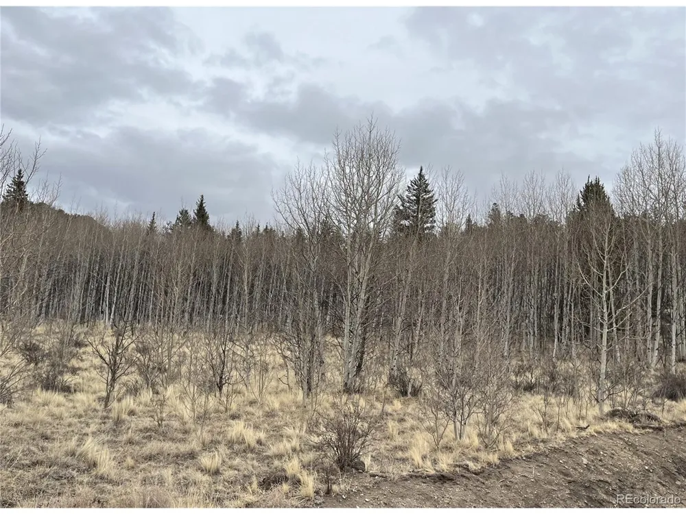 688 Ouray Trail Como, CO 80432
