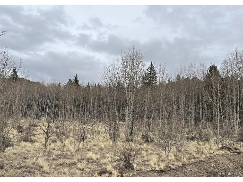 688 Ouray Trail Como, CO 80432