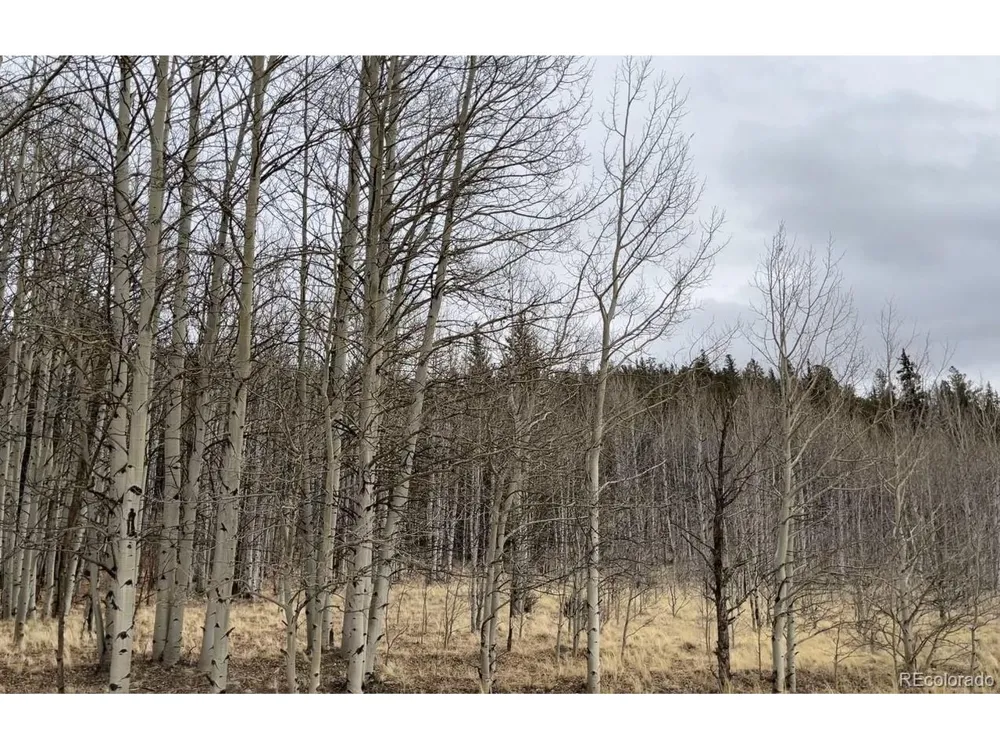 688 Ouray Trail Como, CO 80432