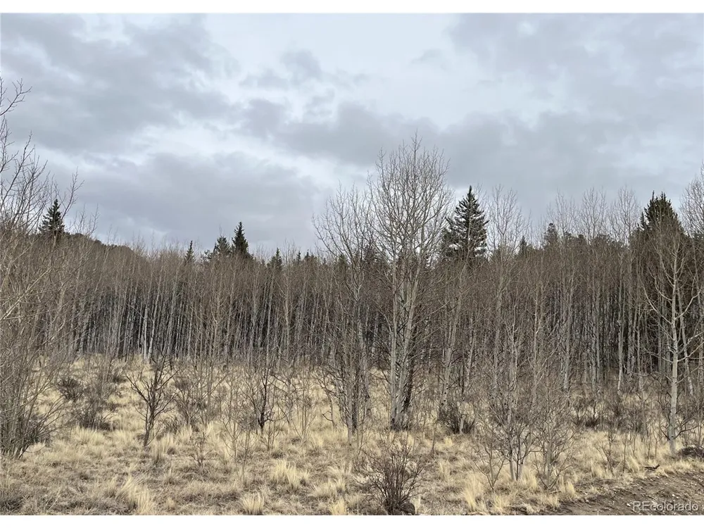 688 Ouray Trail Como, CO 80432