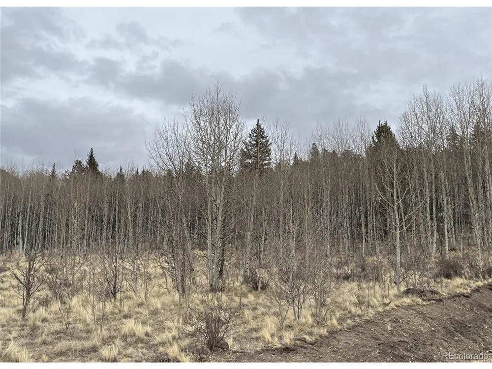 688 Ouray Trail Como, CO 80432