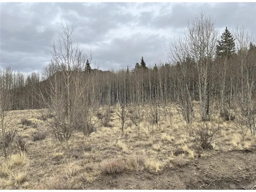 688 Ouray Trail Como, CO 80432