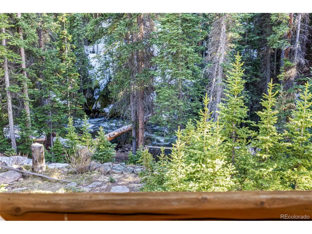 50 Pine Street Empire, CO 80438