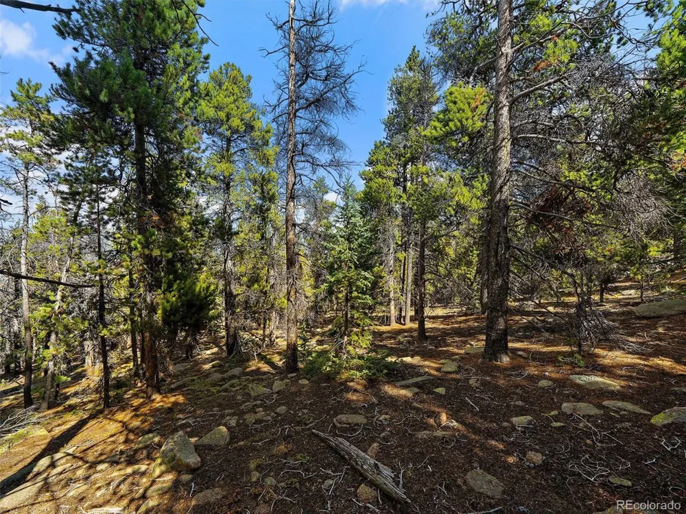 0 Edward Drive Conifer, CO 80433