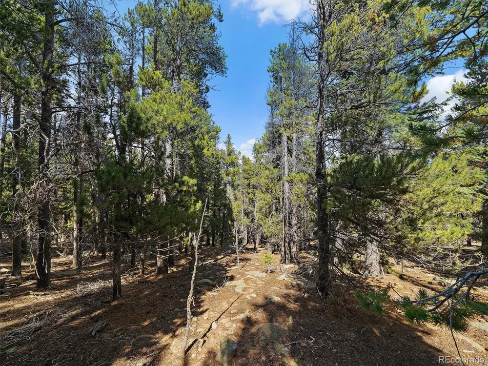 0 Edward Drive Conifer, CO 80433