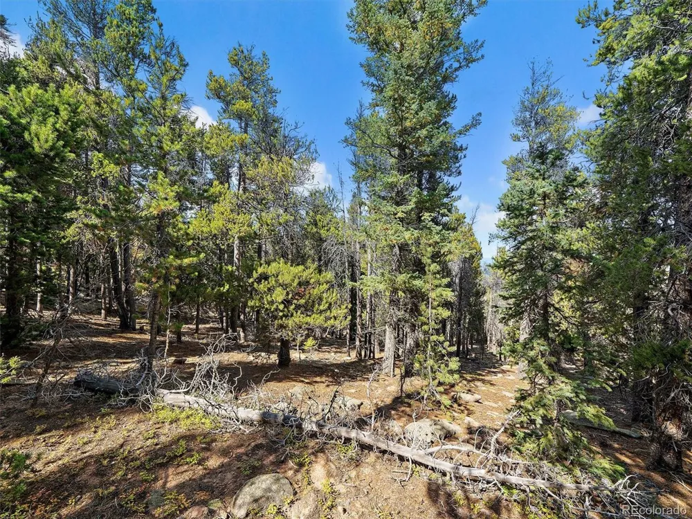 0 Edward Drive Conifer, CO 80433