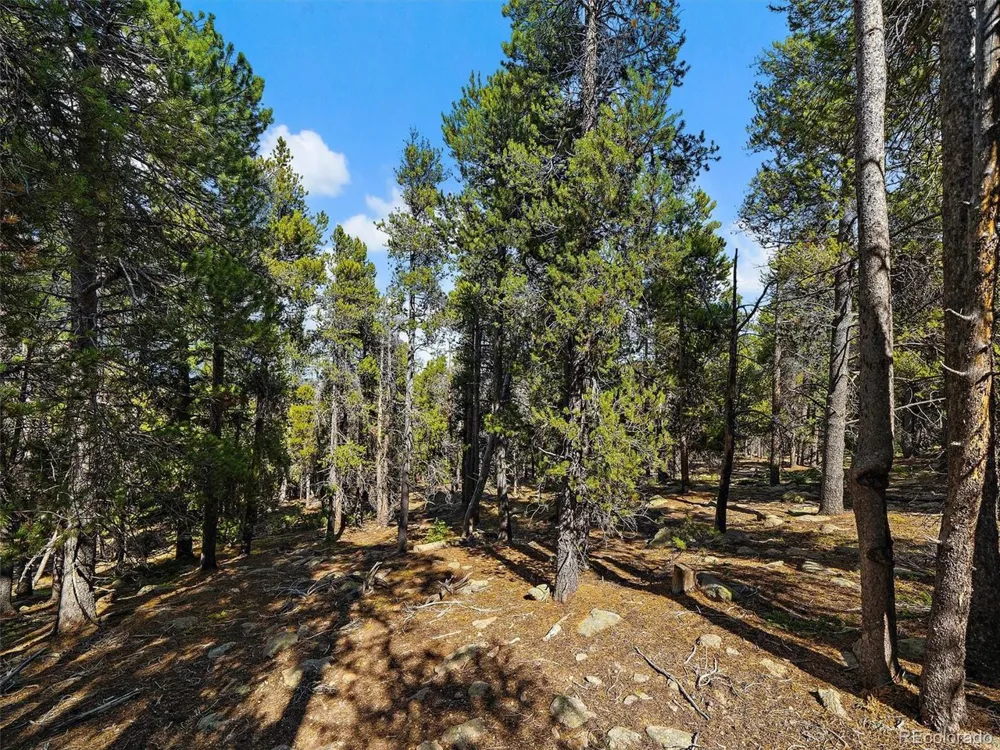 0 Edward Drive Conifer, CO 80433