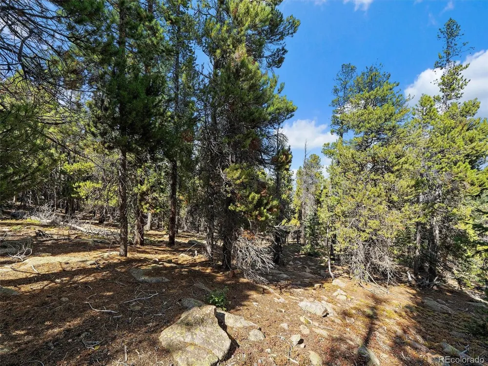 0 Edward Drive Conifer, CO 80433