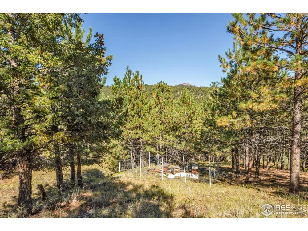 198 Puma Drive Boulder, CO 80302