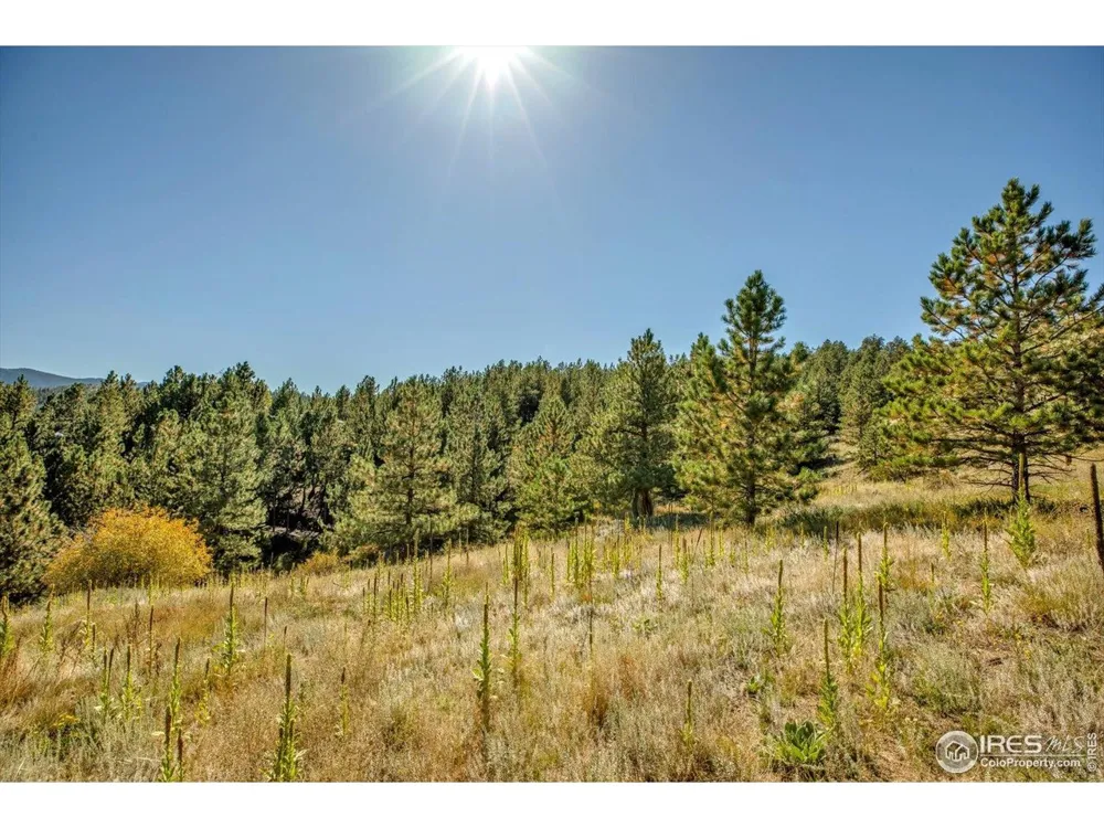 198 Puma Drive Boulder, CO 80302