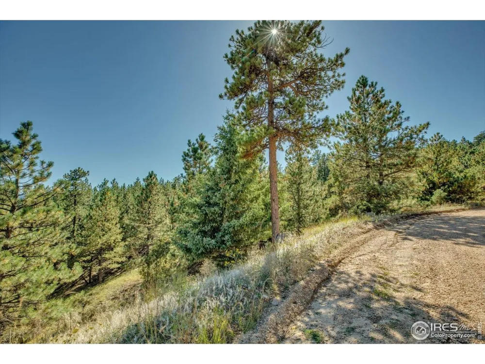 198 Puma Drive Boulder, CO 80302