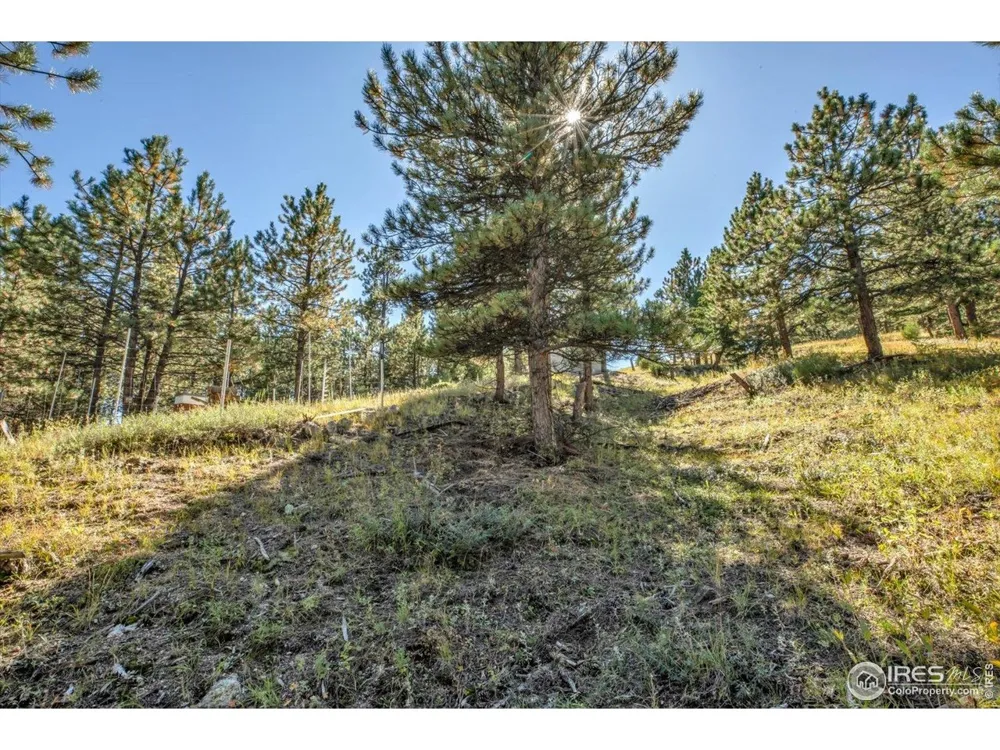 198 Puma Drive Boulder, CO 80302