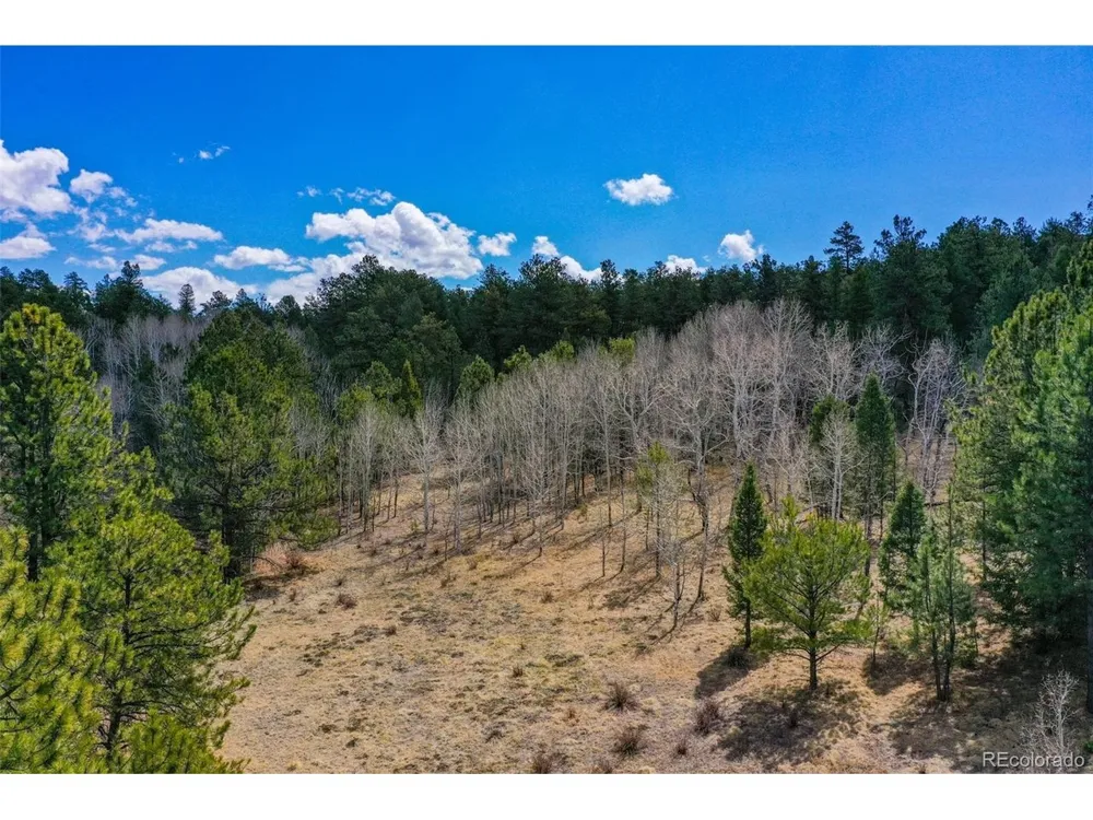 487 Pike View Lane Florissant, CO 80816