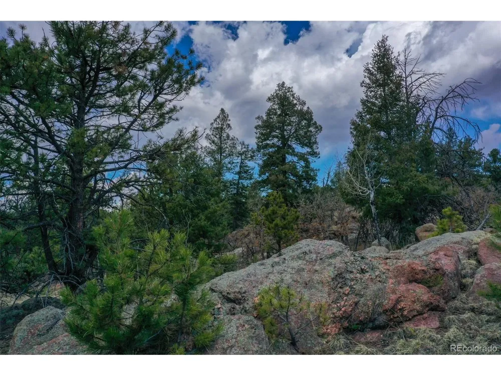 487 Pike View Lane Florissant, CO 80816