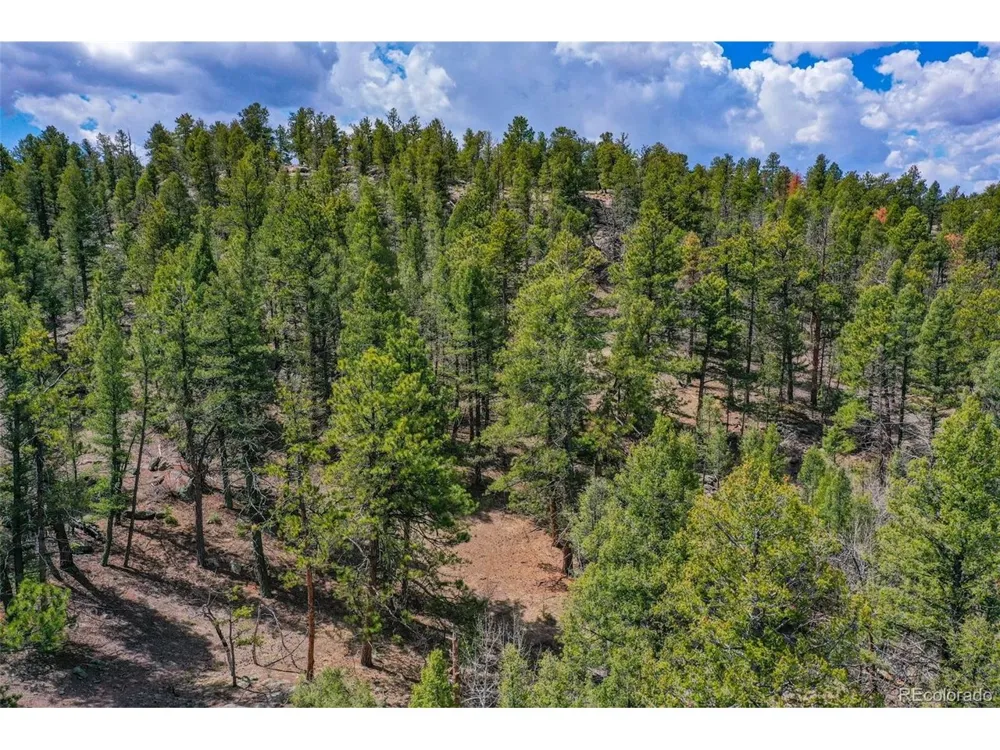 487 Pike View Lane Florissant, CO 80816