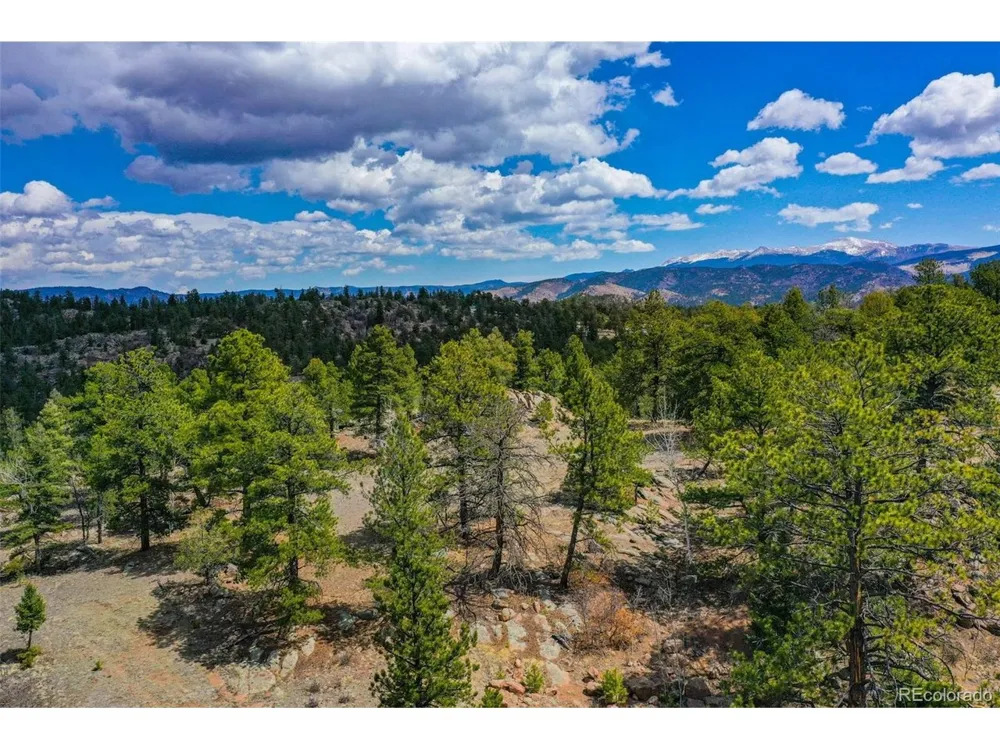 487 Pike View Lane Florissant, CO 80816