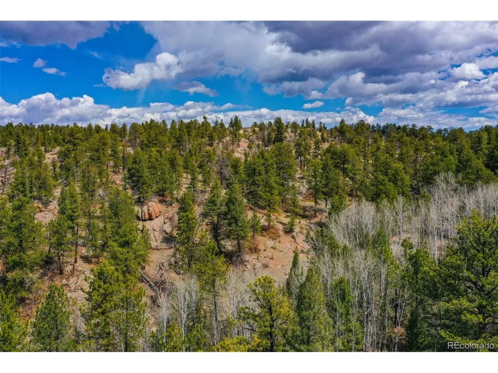 487 Pike View Lane Florissant, CO 80816